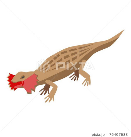 Amazon Lizard Icon Isometric Styleのイラスト素材