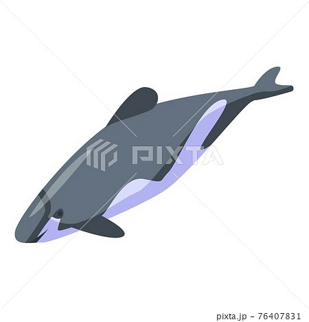 Underwater dolphin icon, isometric style Underwater dolphin icon, isometric style 76407831