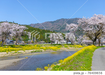 余呉川 (3月　桜　快晴) 76409656