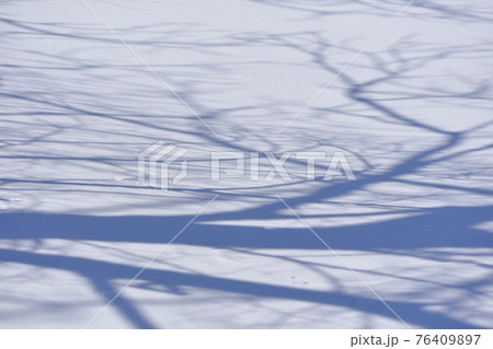雪 雪 76409897