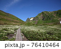 ムーミン谷とチングルマのお花畑 76410464