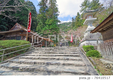 西のお伊勢様山口大神宮の参道 西のお伊勢様山口大神宮の参道 76410517