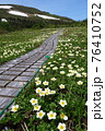 森吉山と山人平のお花畑 76410752