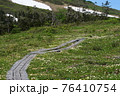 森吉山と山人平のお花畑 76410754