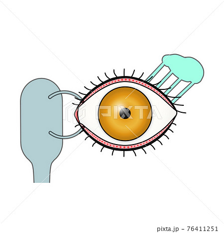 涙ができて流れていく仕組み（イメージ図） 76411251