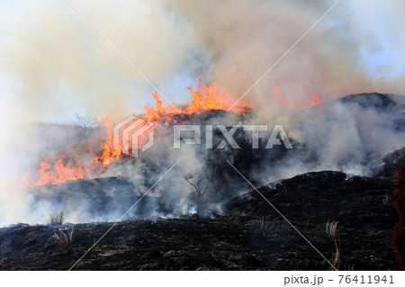 山火事 山火事 76411941