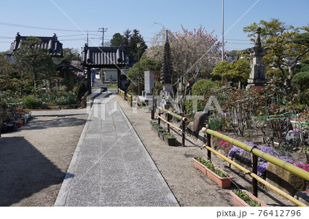 津山市にあるぼたん寺として知られる「極楽山清眼寺」(せいげんじ) 津山市にあるぼたん寺として知られる「極楽山清眼寺」(せいげんじ) 76412796
