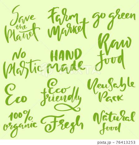 Set of brush calligraphy. Eco style templates. Modern lettering. Vector illustration. 76413253