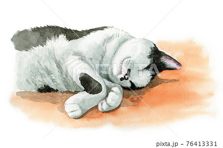 アナログ水彩眠る白黒鉢割れ猫 76413331