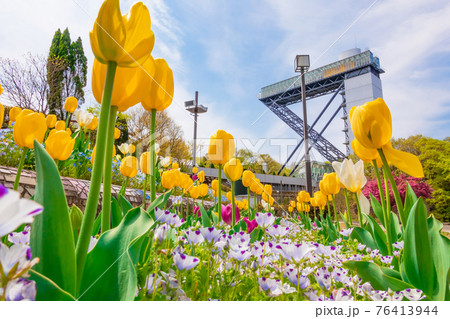 花フェスタ記念公園 チューリップと花のタワー 岐阜県可児市 の写真素材