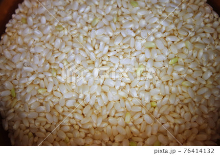 発芽玄米：水につけ発芽する玄米 76414132