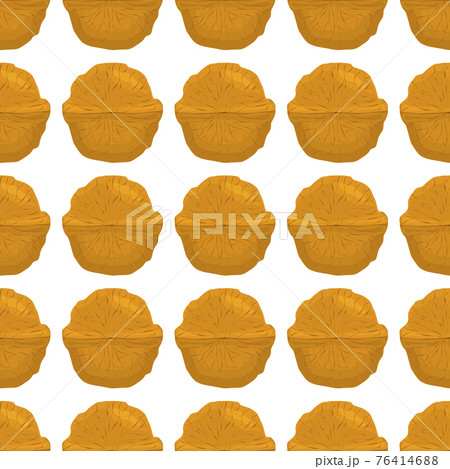 Illustration on theme big pattern identical types walnut Illustration on theme big pattern identical types walnut 76414688