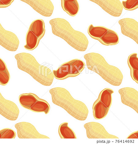 Illustration on theme big pattern identical types peanut Illustration on theme big pattern identical types peanut 76414692