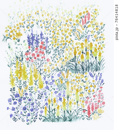 透明水彩 水彩画 花 76414818