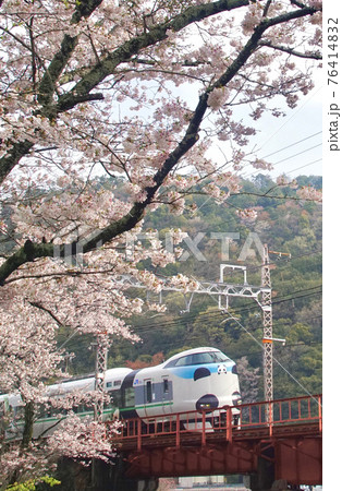 満開のサクラの山中渓駅付近を走るパンダくろしお号 大阪府阪南市 満開のサクラの山中渓駅付近を走るパンダくろしお号 大阪府阪南市 76414832