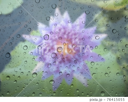 Close-up of water drops on glass surface as background Close-up of water drops on glass surface as background 76415055