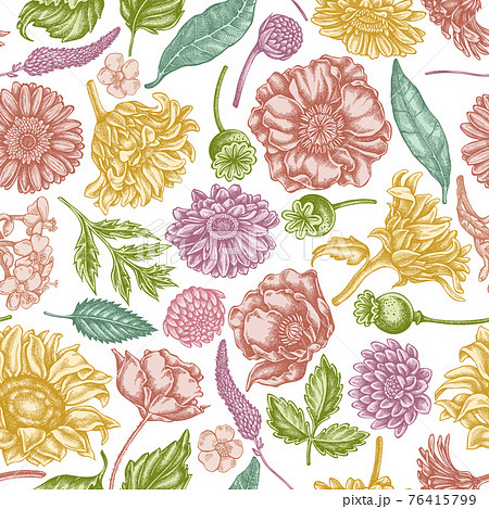 Seamless pattern with hand drawn pastel poppy flower, gerbera, sunflower, milkweed, dahlia, veronica 76415799
