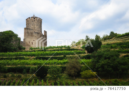 Vineyards and castle ruins of Keysersberg, winemaking village in Alsace (france) 76417750