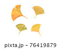 イチョウ 76419879
