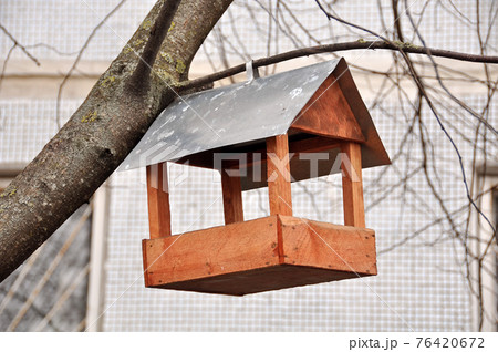 A wooden house bird feeder hanging on a tree branch A wooden house bird feeder hanging on a tree branch 76420672