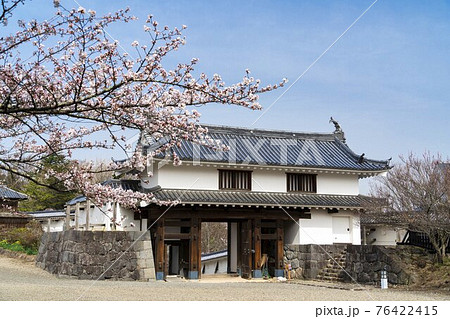 益岡公園の風景　白石城大手二ノ御門と桜　宮城県白石市　 76422415