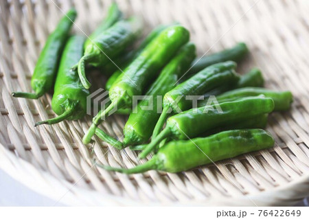 冬の収穫野菜 シシトウガラシ 冬の収穫野菜 シシトウガラシ 76422649