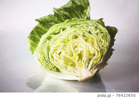 秋から春まで収穫できる野菜 レタス 秋から春まで収穫できる野菜 レタス 76422650
