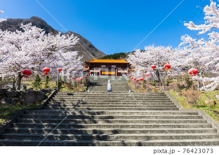法水寺の大階段と桜並木 76423073