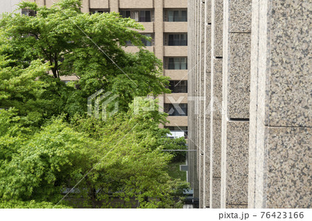 グランフロント大阪 北館テラスガーデンからの風景　【大阪キタ】 76423166