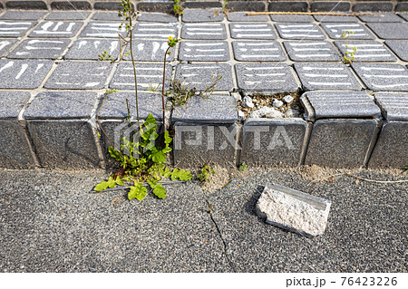 古くなって修理の必要な玄関ポーチのブロックタイル 76423226