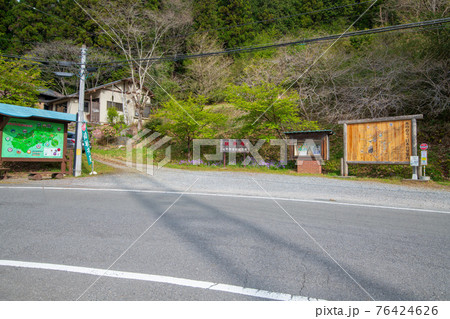 大野特産物販売所前の風景　春桜の季節　ときがわ町　　　 76424626
