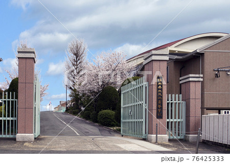 さくら咲く福岡県立三池高等学校の正門 さくら咲く福岡県立三池高等学校の正門 76425333