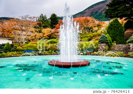 神奈川県箱根町　紅葉の強羅公園 76426413
