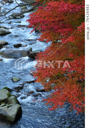 奥津渓の紅葉 奥津渓の紅葉 76426983