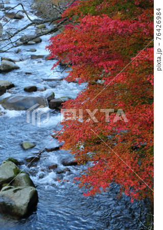 奥津渓の紅葉 奥津渓の紅葉 76426984