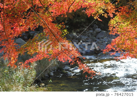 奥津渓の紅葉 奥津渓の紅葉 76427015