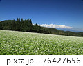 蕎麦畑と青空 76427656