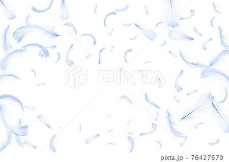 Feather falling. Nature abstract bird feather texture closeup falling on white background for pattern wallpaper. Glamorous sophisticated airy artistic image isolated on white. 76427679