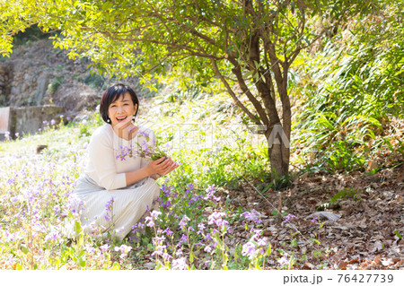 春の花を楽しむミドルシニア女性 春の花を楽しむミドルシニア女性 76427739