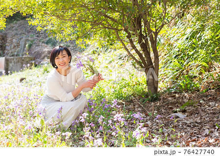 春の花を楽しむミドルシニア女性 春の花を楽しむミドルシニア女性 76427740