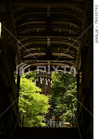 鞍馬山 由岐神社 拝殿 鞍馬山 由岐神社 拝殿 76430741