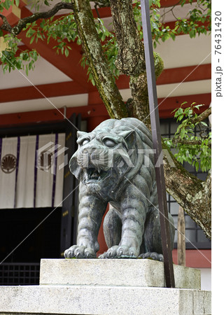 鞍馬寺 本殿金堂 阿行の狛虎 鞍馬寺 本殿金堂 阿行の狛虎 76431420