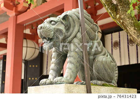 鞍馬寺 本殿金堂 阿行の狛虎 鞍馬寺 本殿金堂 阿行の狛虎 76431423