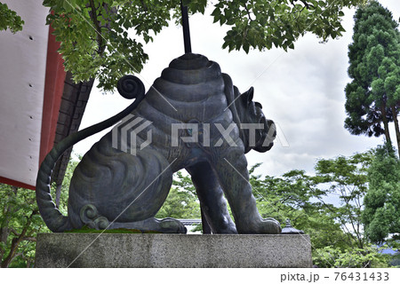 鞍馬寺　本殿金堂　吽行の狛虎 76431433