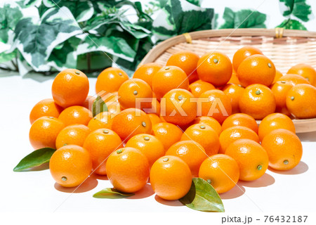 新鮮果物 キンカン 新鮮果物 キンカン 76432187