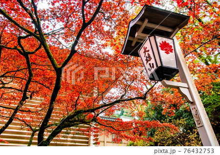 神奈川県南足柄市 大雄山最乗寺　宝物殿と紅葉 76432753