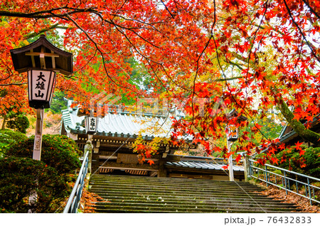 神奈川県南足柄市 大雄山最乗寺　瑠璃門と紅葉 76432833