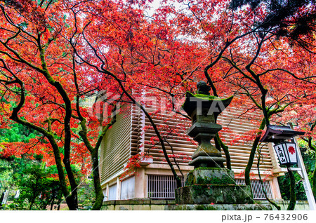 神奈川県南足柄市 大雄山最乗寺　宝物殿と紅葉 76432906
