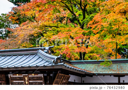 神奈川県南足柄市 大雄山最乗寺　紅葉 76432980