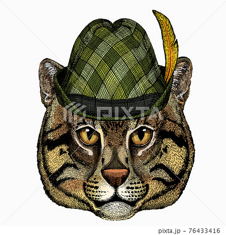 Wild fishing cat portrait. Animal face. Animal with tirol hat. Traditional headdress. 76433416